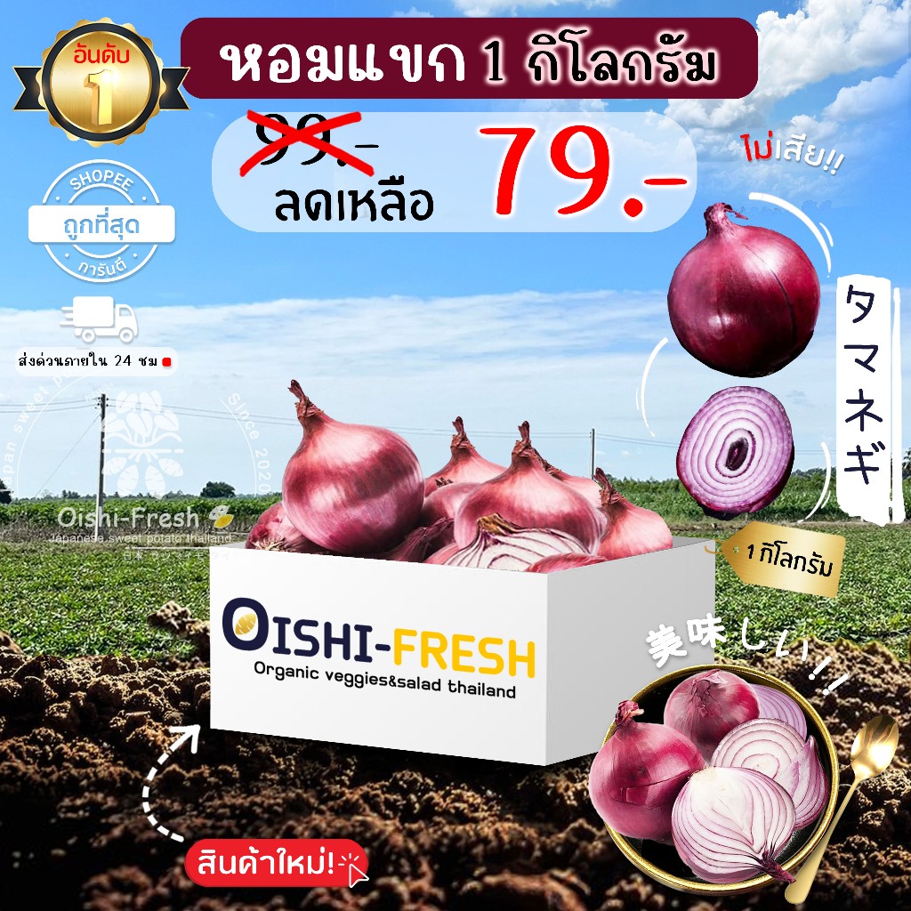 🛒Oishi-Fresh🧅หอมแขก ปลอดสารพิษ 1 กก. รสชาติกรอบ สด ใหม่ ใยอาหารสูง หวานออร์แกนิค เคลมได้ 1-2 วัน