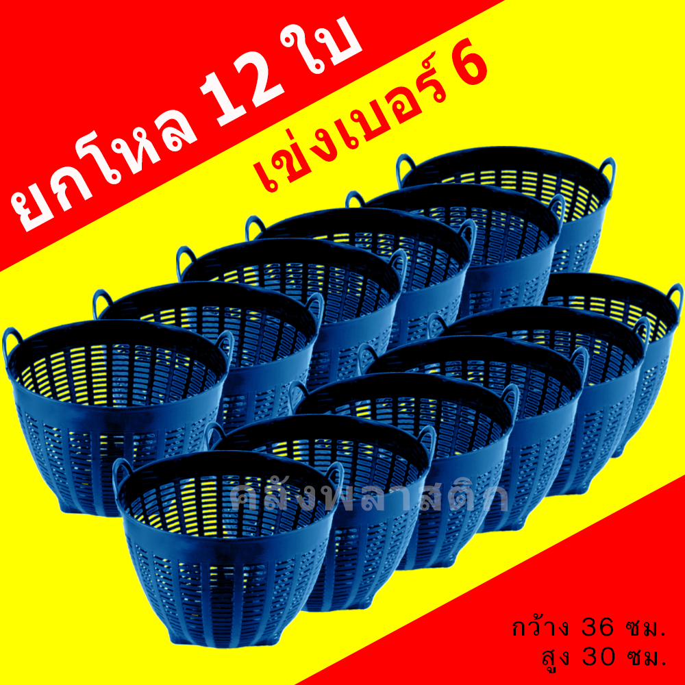 รูปภาพ 8