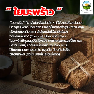 กาบมะพร้าวสับอัดก้อน 500 กรัม ขุยมะพร้าวอัดก้อน ใยมะพร้าวอัดก้อน วัสดุปลูกต้นไม้