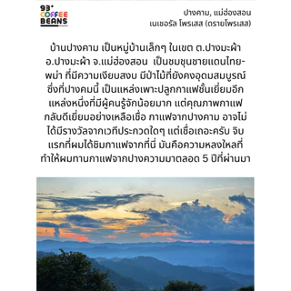 เมล็ดกาแฟคั่วอ่อน ปางคาม Light Roast 200g | Pangkham Single Origin Coffee Beans | 93 Degrees