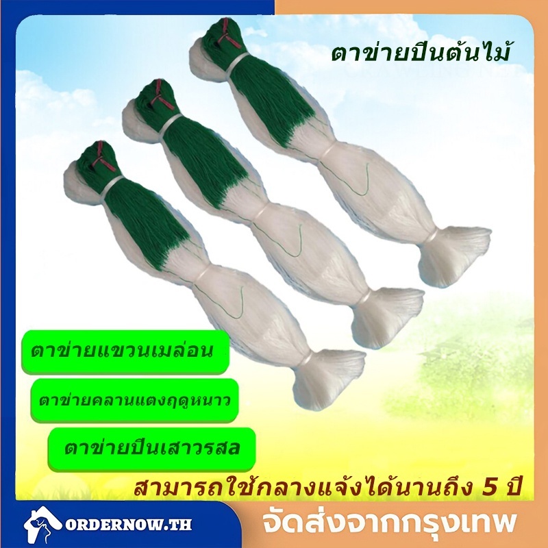 างปลูกผัก ค้างผัก 2*100m ตาข่ายปลูกผัก โครงไม้เลื้อย ค้างไม้เลื้อย ตะข่ายไนลอน ต้นไม้เลื้อย ตาข่ายปลูกแตง อวนแตง กวา