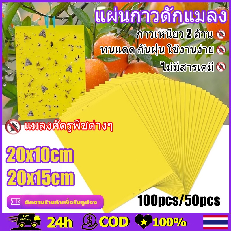 50 แผ่น แผ่นกาวดักแมลง สีเหลือง กาวเหนียว ดักแมลงศัตรูพืช ดักแมลงวันทอง สำหรับสวนผักและผลไม้