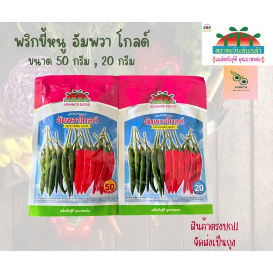 เมล็ดพริกขี้หนู อัมพวา โกลด์ ขนาด 50 กรัม และ 20 กรัม