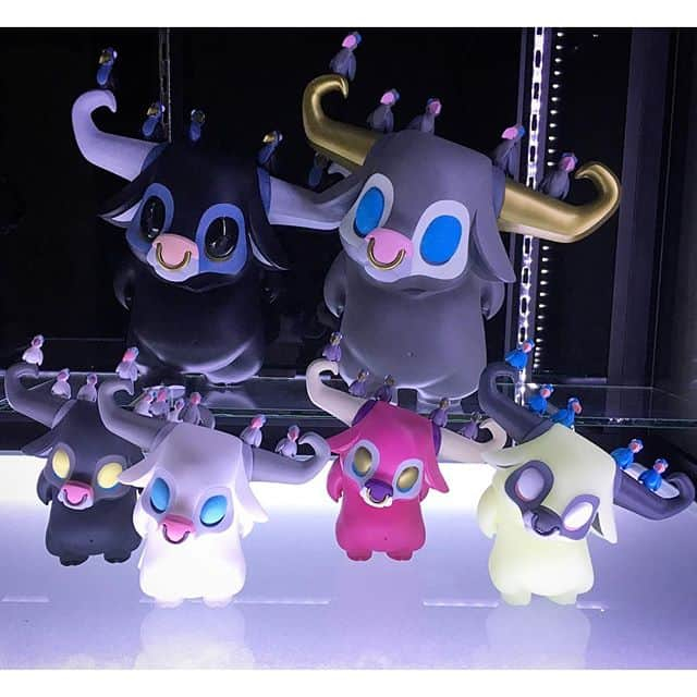 coarse kwaii สภาพตั้งโชว์