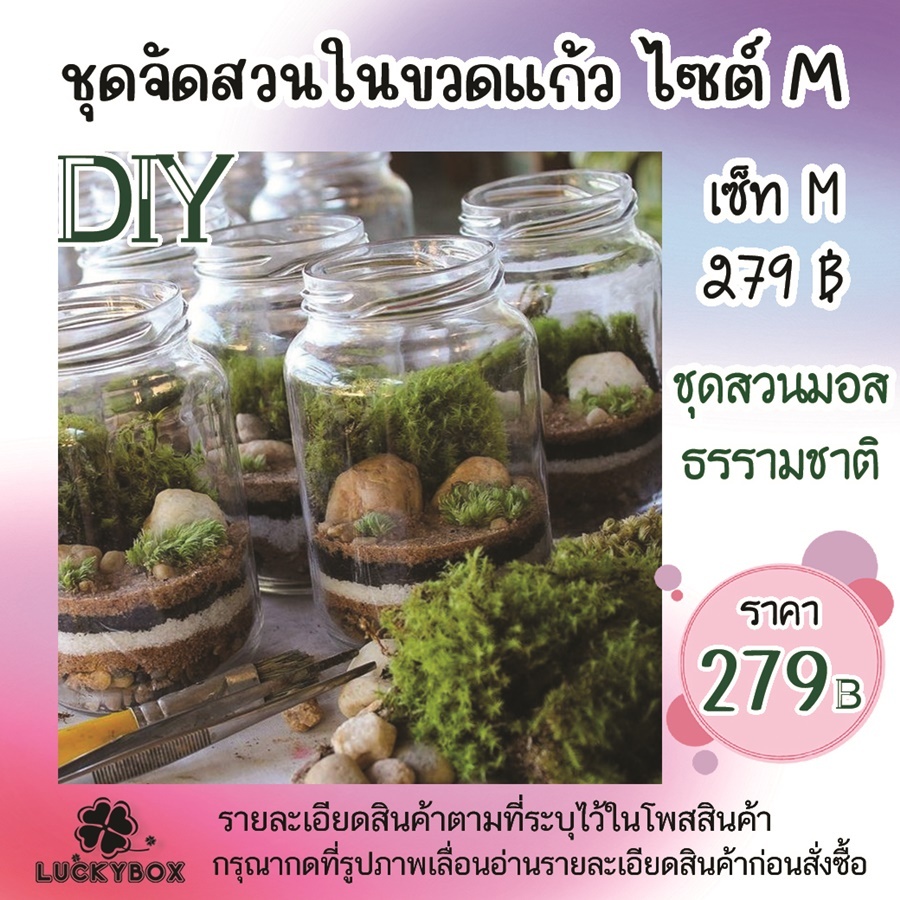 สวนขวดแก้ว ชุดจัดสวนขวดแก้ว DIY ชุดปลูกสวนมอส ไซต์ M