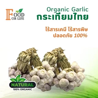 กระเทียมไทย ออร์แกนิค มาตรฐานเกษตรอินทรีย์ ปลอดภัย 100% รสเผ็ดแบบธรรมชาติ สรรพคุณเป็นยาอายุวัฒนะ ทานอาหารเป็นยาดีที่สุด