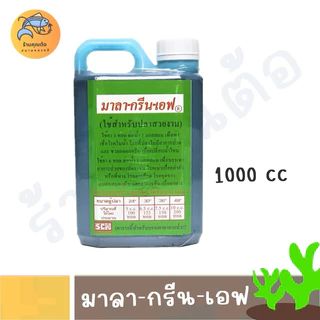 [พร้อมส่ง] มาลากรีนเอฟ 200 cc และ 1000 cc