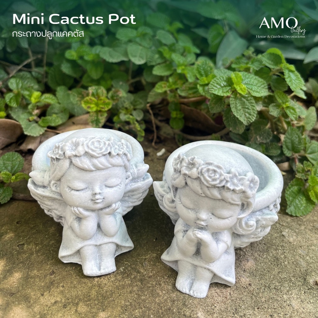AMO GALLERY|กระถางแคคตัส กระถางจิ๋ว กระถางต้นไม้ขนาดเล็ก กระถางต้นไม้ สวนจิ๋ว แคคตัส ของแต่งบ้าน