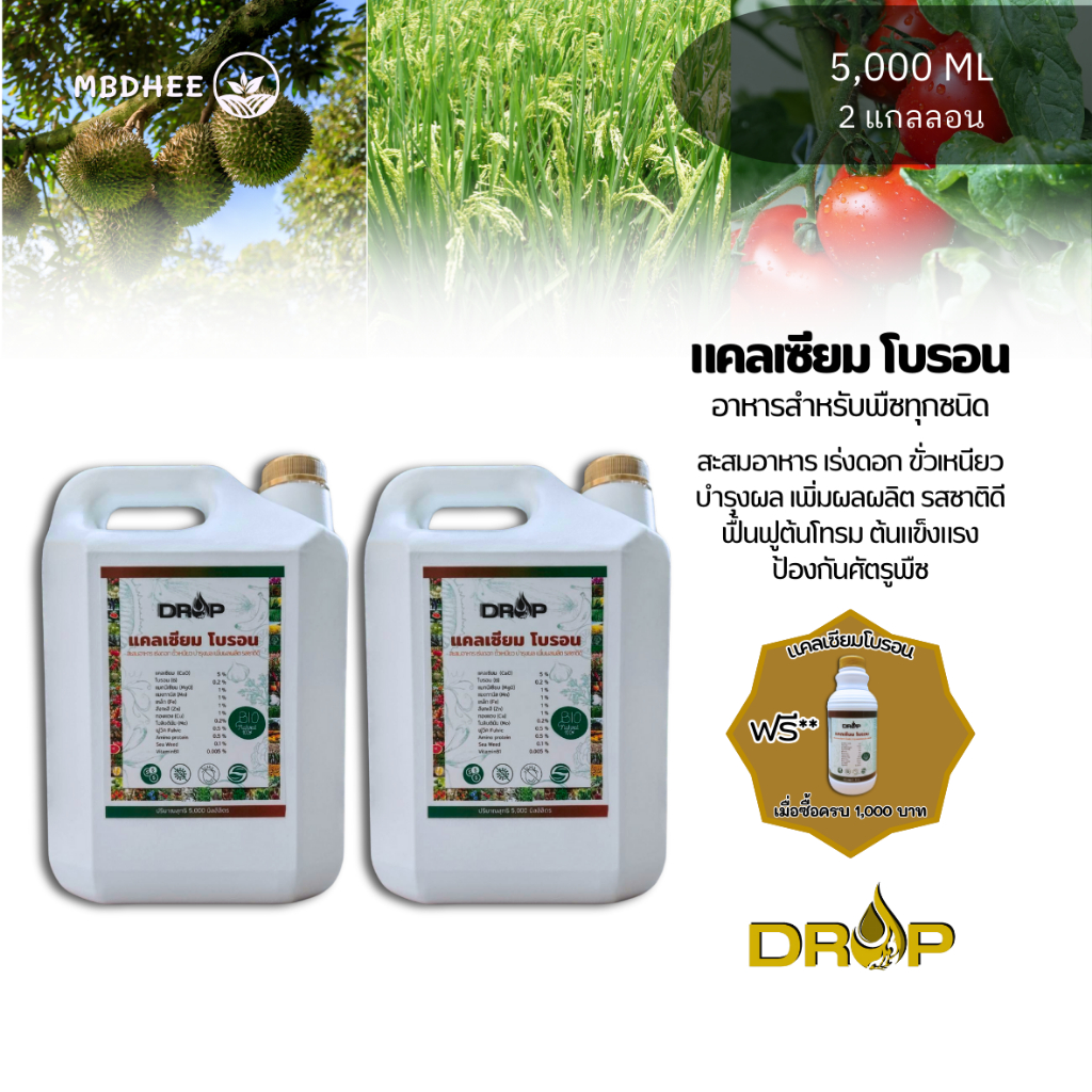 แคลเซียมโบรอน ขนาด 4 ลิตร ปิดตาดอก แตกตา เร่งดอกดก เกษรสมบูรณ์ เพิ่มการติดผล ขั้วเหนียว ผลดก