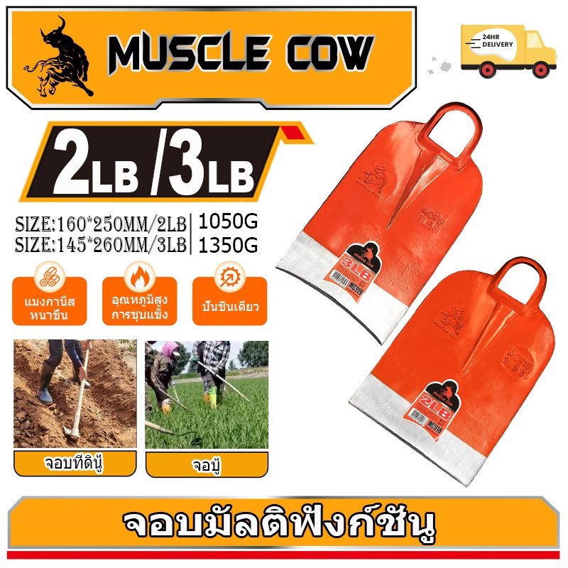 MUSCLE COW จอบถากหญ้าเหล็กหนา 2LB/3LB แข็งแรง ทนทาน วัสดุคุณภาพสูง ใช้ได้ทั้งงานเกษตรและสวน ราคาถูกคุ้มค่า