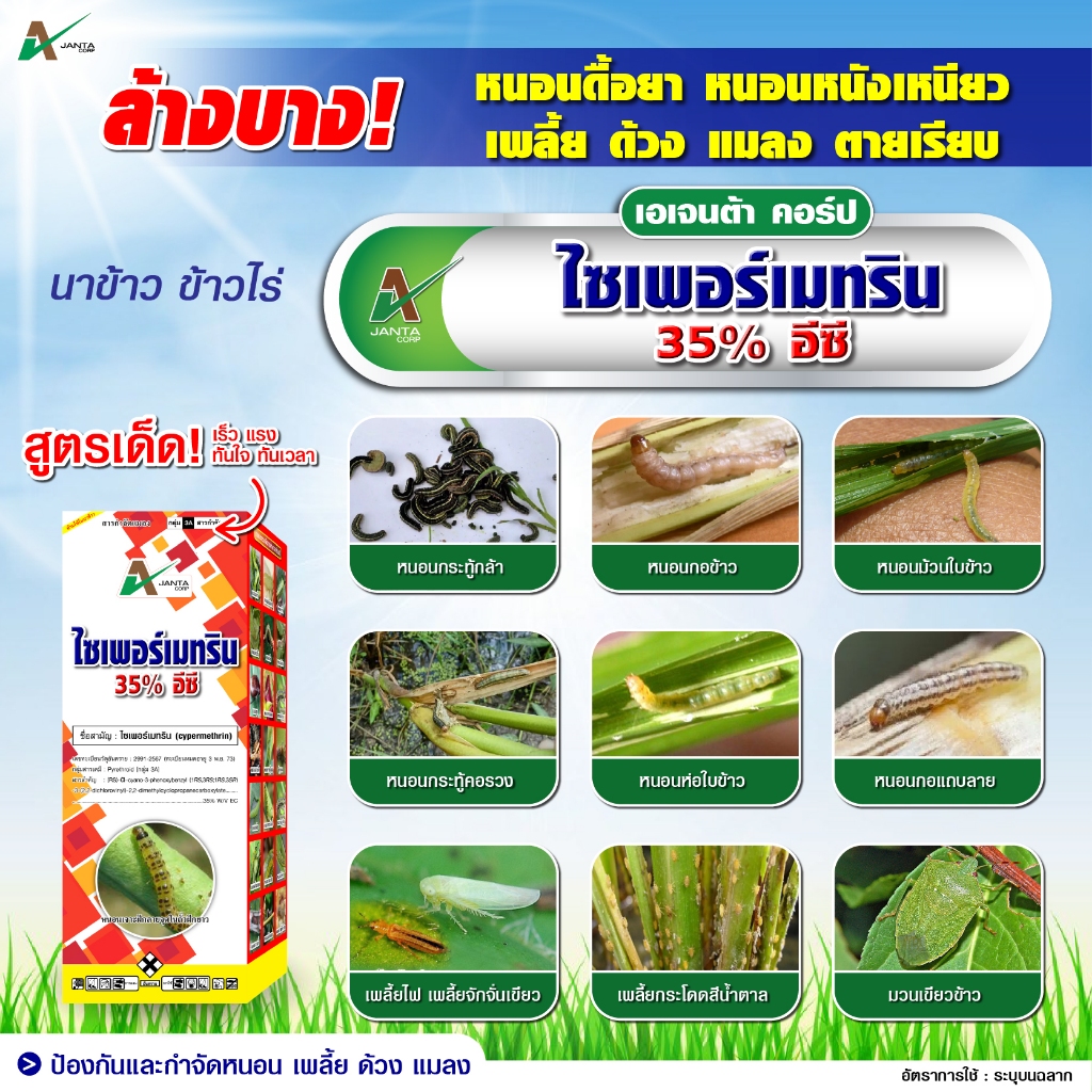 ไซเพอร์เมทริน เอเจนต้า คอร์ป ยาน๊อค สารป้องกันกำจัดแมลง กำจัดเพลี้ย กำจัดไร กำจัดหนอน แมลงปีกแข็ง ด้วง (1 ลิตร) - รูปที่ 5