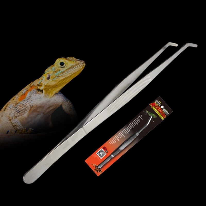 Nomoypet ฟอร์เซป ที่คีบ stainless forceps ที่คีบสแตนเลส 30ซม. สำหรับสัตว์เลื้อยคลาน คีบอาหารสัตว์ คี