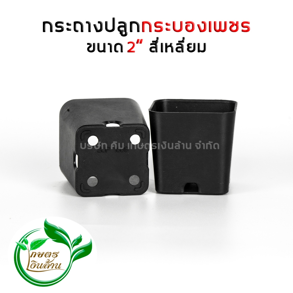 [แตกเคลมทันที]กระถางสีเหลี่ยม 2" อย่างหนา PP อย่างดี By.คิม เกษตรเงินล้าน