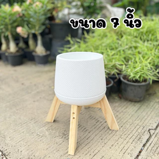 กระถางเบลล่าสีขาว สีดำ พร้อมขาตั้งไม้ ขนาด5-12 นิ้ว