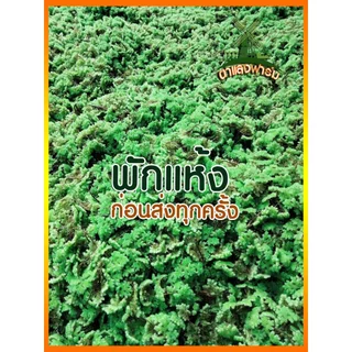 แหนแดงแม่พันธุ์ พร้อมส่ง เกรดAAA ราคาถูก