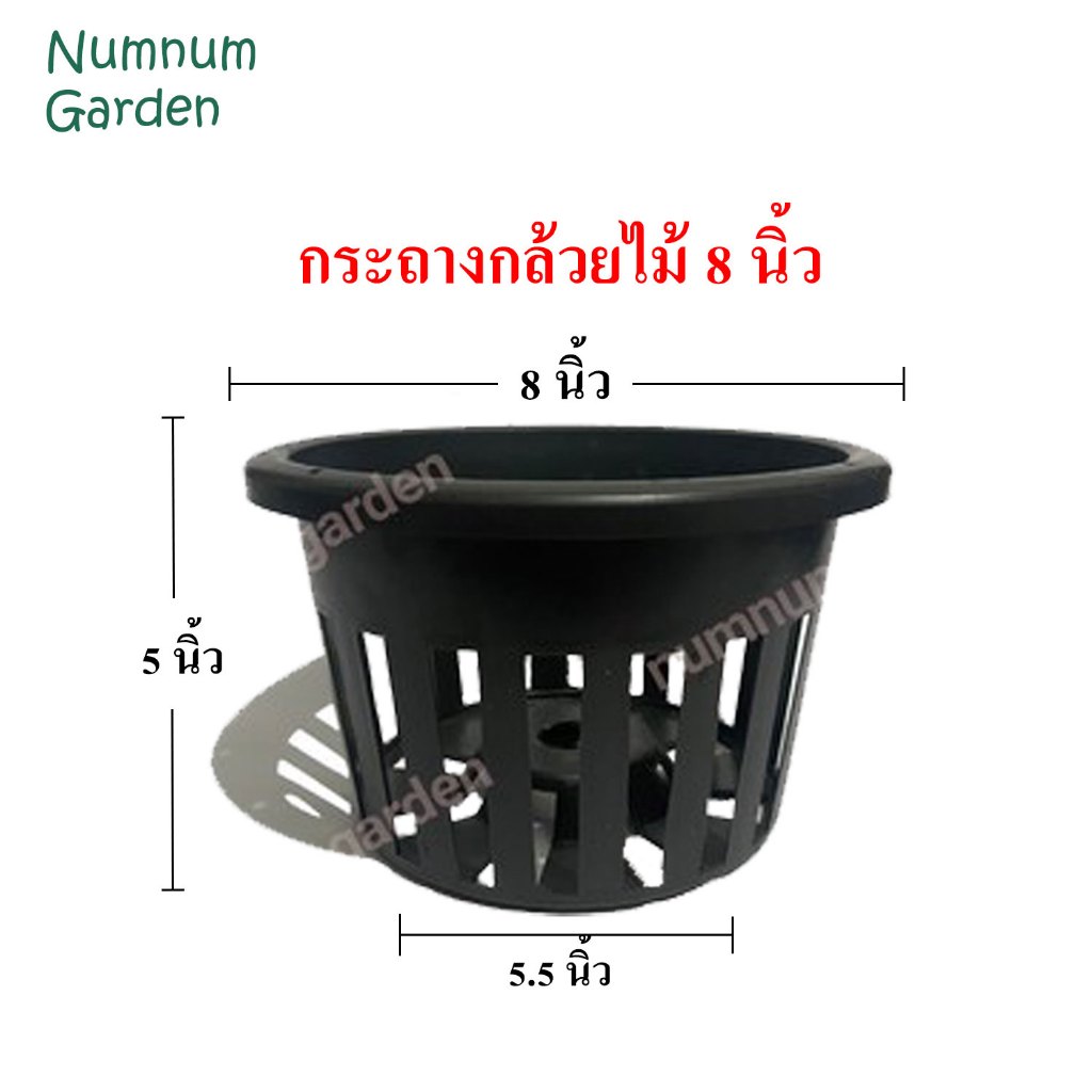 กระถางกล้วยไม้ ขนาด 8 นิ้ว กระเช้ากล้วยไม้ กระเช้า กระถางพลาสติก ดำ เกรด A