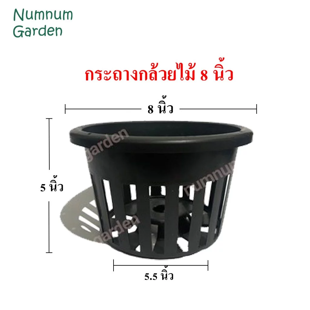 กระถางกล้วยไม้ ขนาด 8 นิ้ว กระเช้ากล้วยไม้ กระเช้า กระถางพลาสติก ดำ เกรด A