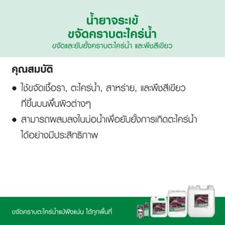 น้ำยาจระเข้ ขจัดคราบตะไคร่น้ำ บนพื้นปูน และสระว่ายน้ำ ใช้งานง่าย ไม่ทำให้พื้นผิวเสียหาย มี 2 ขนาด