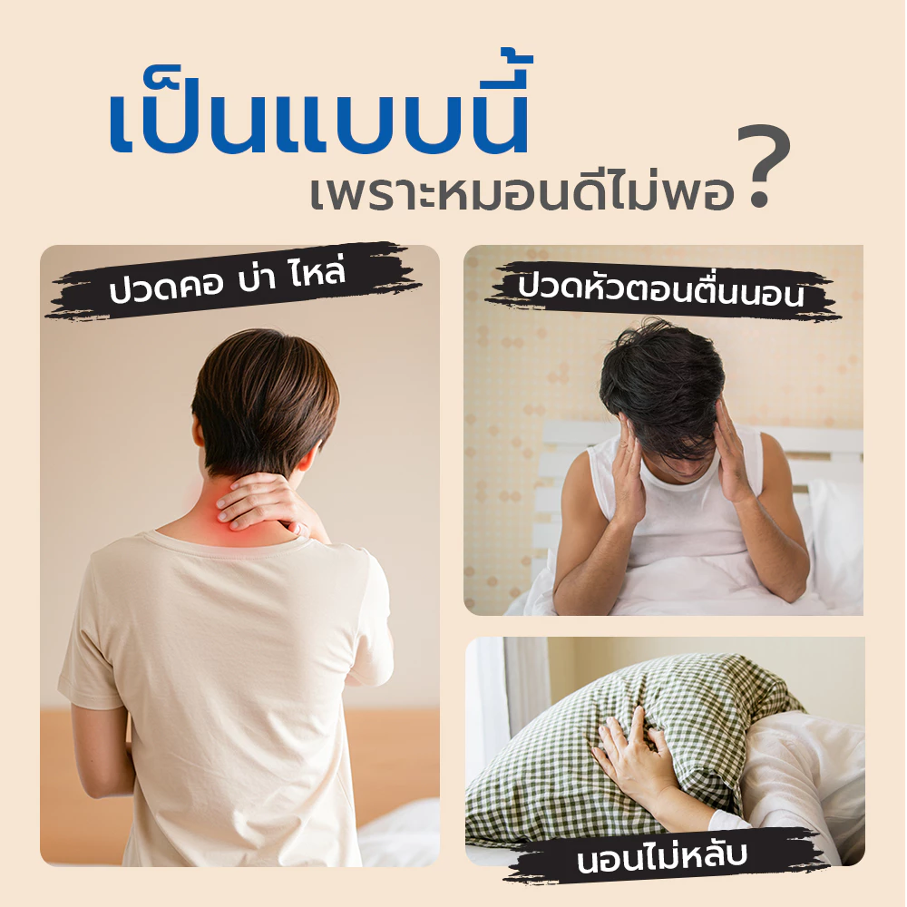 ibed หมอนหนุนโรงแรม Sof-touch สัมผัสนุ่มแบบ 3D รุ่น I และ II ป้องกันไรฝุ่น ซักเครื่องได้ หลับสบาย thumbnail 8