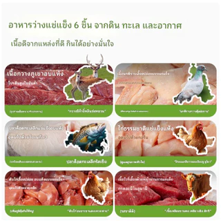 Bucatstate อาหารแฮมเตอร์ สูตรเนื้อสัตว์ฟรีซดาย 6ชนิด สำหรับสัตว์เล็ก กระรอก แฟตเทล ปริมาณ 550 กรัม