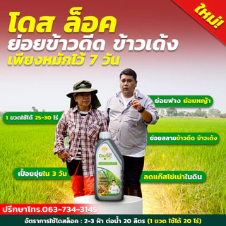 [สินค้าใหม่] DOSE LOCK โดส ล็อค ช่วยลดจำนวนข้าวดีด ข้าวเด้ง และช่วยย่อยสลายฟาง ตอซัง