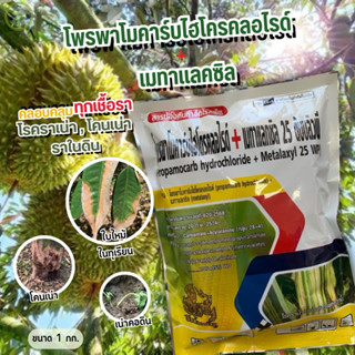 โพรพาโมคาร์ป+เมทาแลคซิล สารเดียวกับแบคเคียว ขนาด 1กก.🌿ป้องกั…