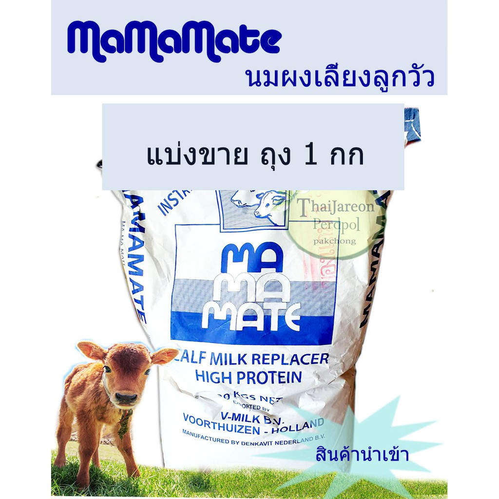 นมผง mamamate  สำหรับสัตว์ นมเลี้ยงวัว นมผงสำหรับลูกวัว ลูกโค กระบือ นมเลี้ยงลูกวัว นำเข้าฮอลแลนด์ เกรดพรีเมียม *แบ่งขาย