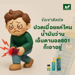 [ลด 20.- CODE : BOWORNVEJ]น้ำมันสมุนไพร 801 บวรเวช ขนาด 20 มล | บรรเทาปวดเมื่อย คลายเส้น แก้เคล็ดขัดยอก ใช้ง่าย พกพาสะดว