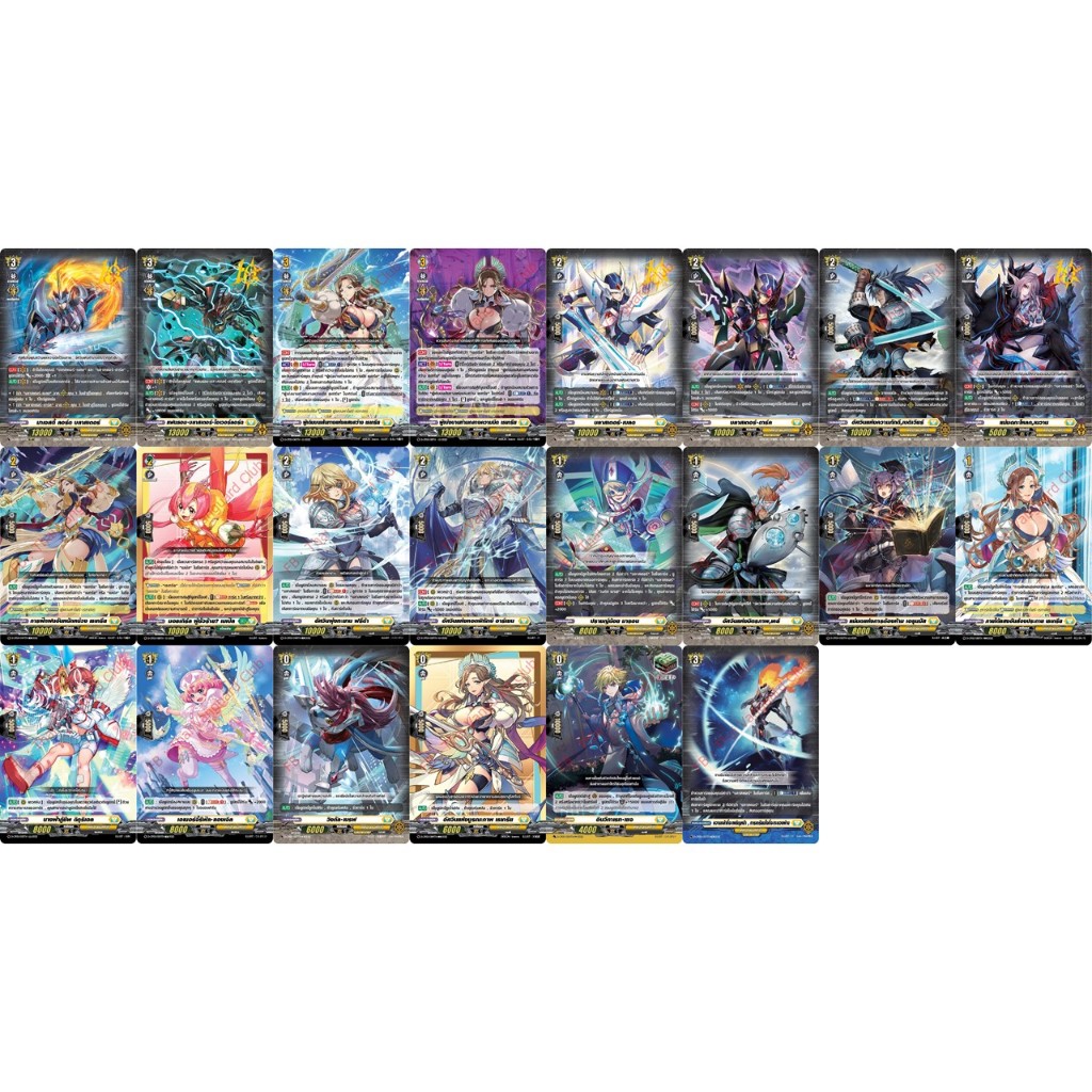 แวนการ์ด D-CP05 เคเทอร์แซงทัวรี่ แยกใบ