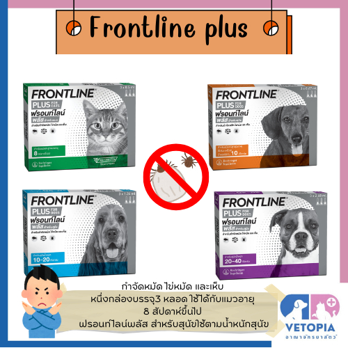 Frontline plus ชนิดหยด กำจัดเห็บหมัด สุนัข-แมว
