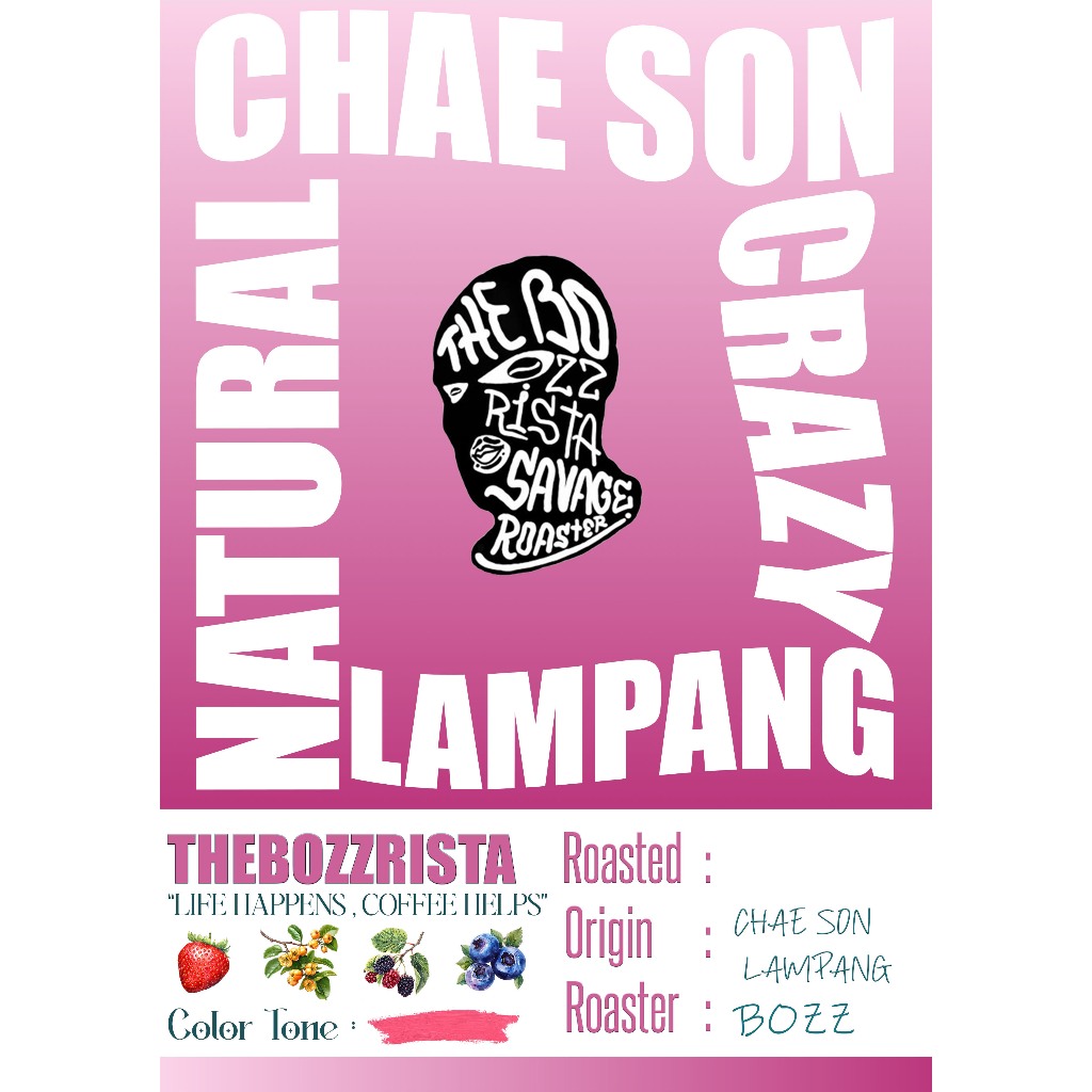 Thebozzrista เมล็ดกาแฟแจ้ซ้อน : Natural process City+ (คั่วอ่อน)