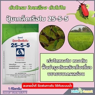 ปุ๋ยเกร็ดคุณภาพสูง ปุ๋ยเกล็ด 25-5-5 ละลายน้ำดี เร่งต้น เร่งใ…