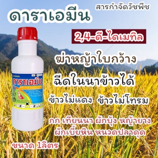 ดาราเอมีน หมาแดงน้ำ 2-4ดึ ฆ่าหญ้าใบกว้าง เช่นผักปอดนา ผักบุ้ง กก หนวดปลาดุก แห้วหมู