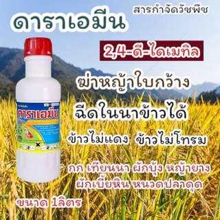 ดาราเอมีน หมาแดงน้ำ 2-4ดึ ฆ่าหญ้าใบกว้าง เช่นผักปอดนา ผักบุ้ง กก หนวดปลาดุก แห้วหมู
