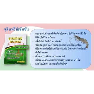 แบคมิกซ์ จุลินทรีย์ย่อยของเสียในน้ำ ซอง 100 กรัม
