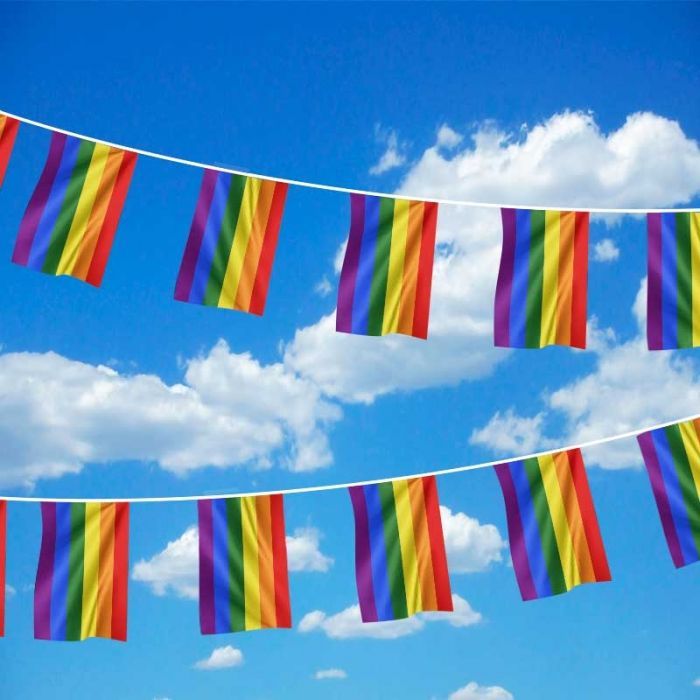 ธงราวสีรุ้ง ธงราว สีรุ้ง สายรุ้ง ธงหลากสี ธง ธงสีรุ้ง Rainbow LGBT PRIDE Pendant Pennant Bunting String Flag Flags