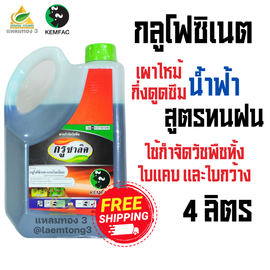 กรูซาลิค กลูโฟซิเนต-แอมโมเนียม 15% SL (ขนาด4ลิตร) กำจัดวัชพืชทุกชนิดที่ปราบยาก ทำลายวัชพืชรวดเร็ว