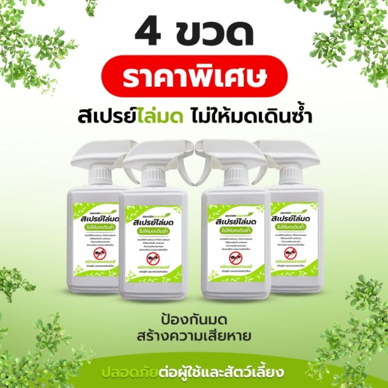 สเปรย์กำจัดมดแบบแพ็ค 4 ขวดราคาพิเศษ - รูปที่ 2