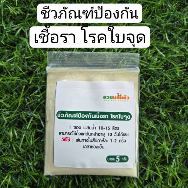ชีวภัณฑ์ป้องกันเชื้อราและรักษาโรคใบจุด ผักไฮโดรโปนิกส์