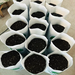 ดินปลูกสำเร็จรูป ดินปลูกผัก Grow Green Soil สูตรออแกนิก ใช้เพาะเมล็ด ปลูกผักสวนครัว ไม้ดอกไม้ประดับ ไม้ฟอกอากาศ 10kg