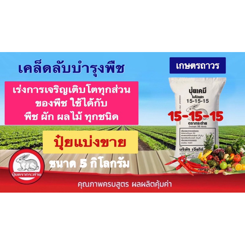 ปุ๋ยตรากระต่าย สูตร 15-15-15 แบ่งขาย 5 กิโลกรัม เม็ดสีชมพูอ่อน เร่งการเจริญเติบโตทุกส่วนของต้นไม้