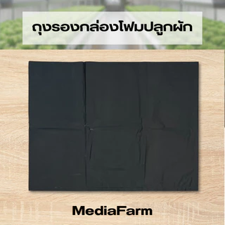 ถุงรองกล่องโฟม ถุงดำรองกล่องโฟม ถุงรองกล่องโฟมปลูกผัก