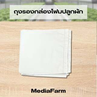 ถุงรองกล่องโฟม ถุงดำรองกล่องโฟม ถุงรองกล่องโฟมปลูกผัก