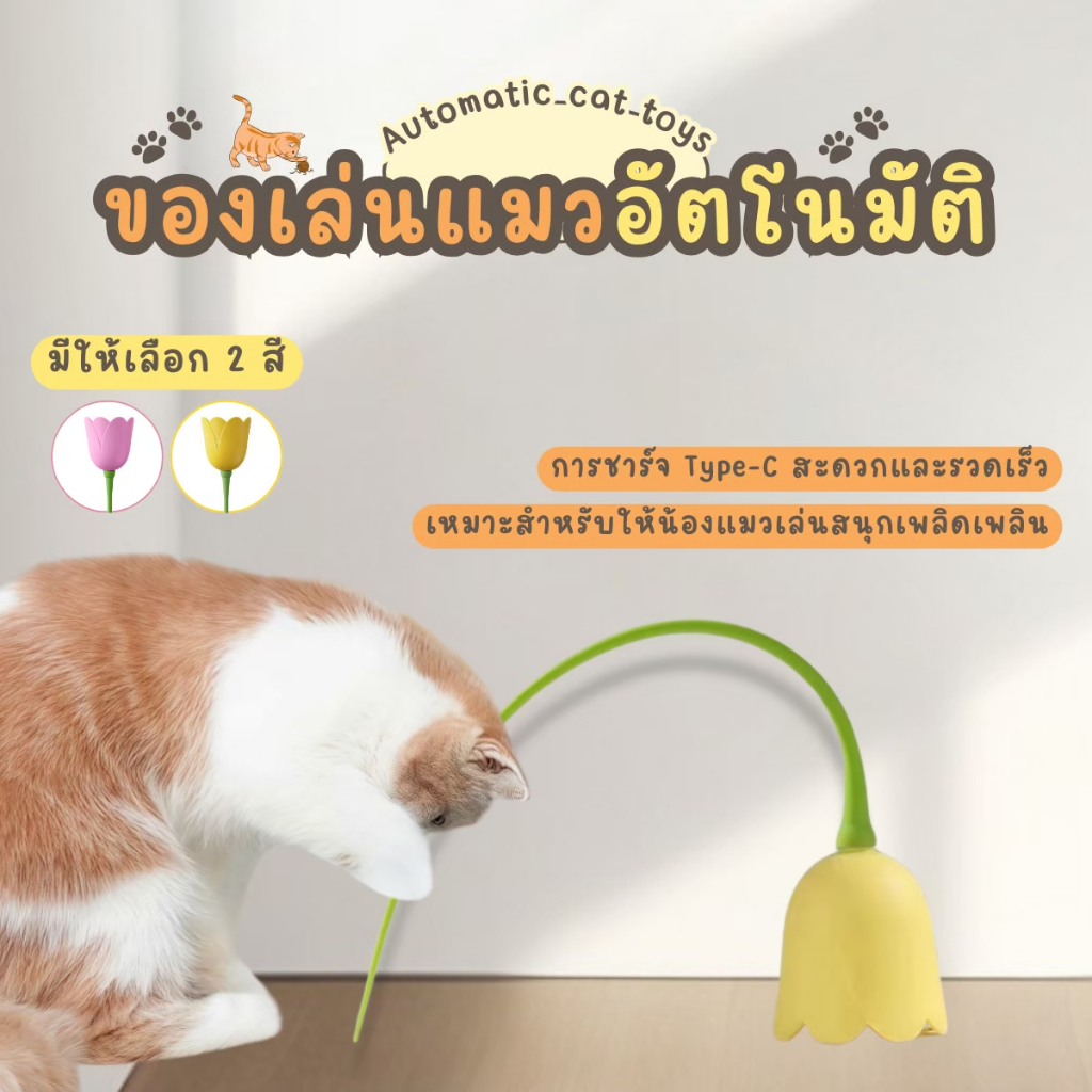 ของเล่นแมวอัจฉริยะ ลูกบอลแมวอัตโนมัติ แมวสามารถเล่นเองได้ ของเล่นแมว
