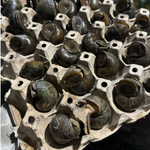 รูปภาพ 4