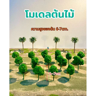 ต้นไม้โมเดลขนาด 6-7cm. / ต้นไม้จำลอง/ต้นไม้ประกอบฉาก