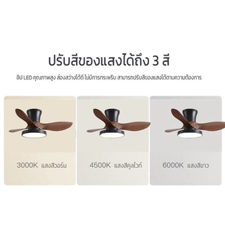 NEOBEE พัดลมเพดาน24นิ้วนอร์ดิกมินิมอลพร้อมรีโมทโคมไฟ หมุนสองทิศทาง มอเตอร์DC NB-DS6201