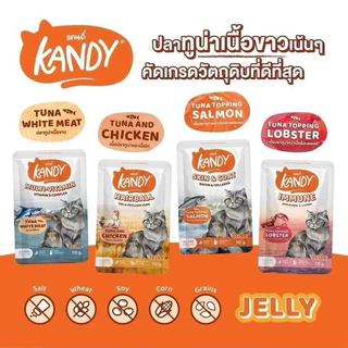 Kandy [ยกโหล 12 ซอง] อาหารเปียกแมว แคนดี้ ขนาดซองละ 70 กรัม