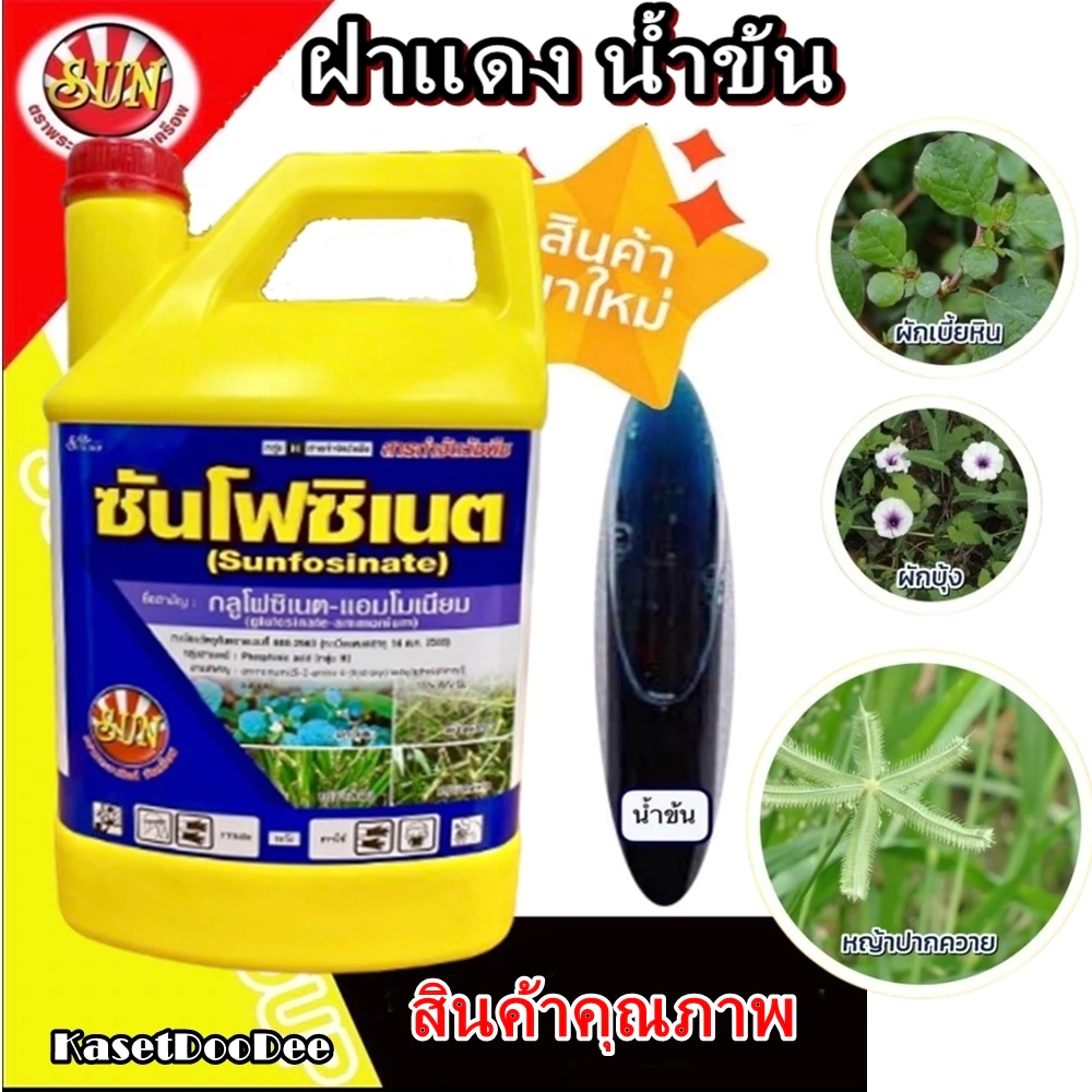 ซันโฟสิเนต 4 ลิตร ฝาแดง สูตร น้ำเข้ม กลูโฟสิเนต กำจัดวัชพืช แบบน๊อคกึ่งซึม ปลอดภัยต่อพืชประธาน ร่องสวน ร่องมันร่องอ้อย