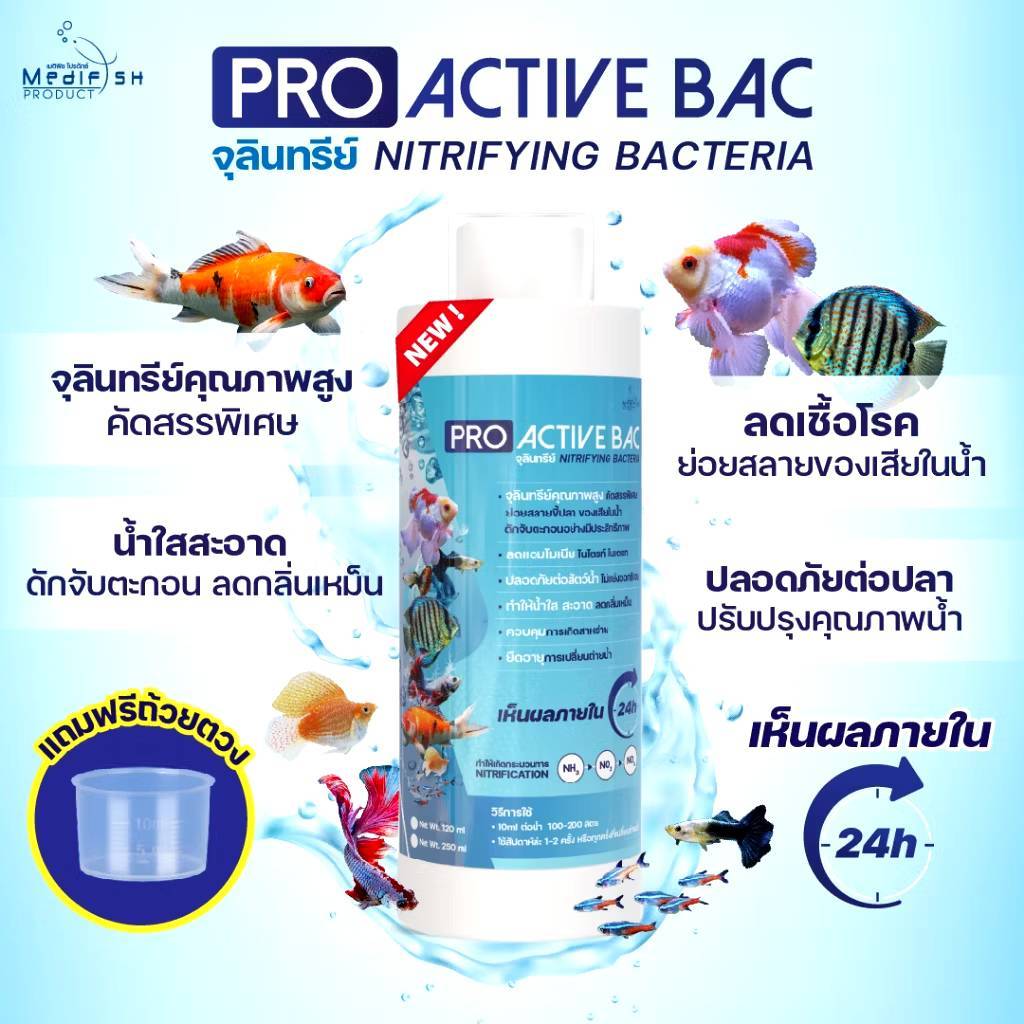 PRO ACTIVE BAC จุลินทรีย์ Nitrifying Bacteria น้ำใสสะอาด สลายของเสีย ลดเชื้อโรคในน้ำ ให้ปลาสุขภาพดี